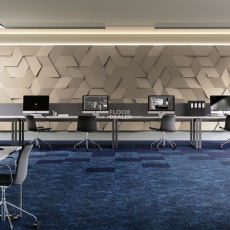 Contour Коллекция Perspective Perspective 575 фото 4 | FLOORDEALER